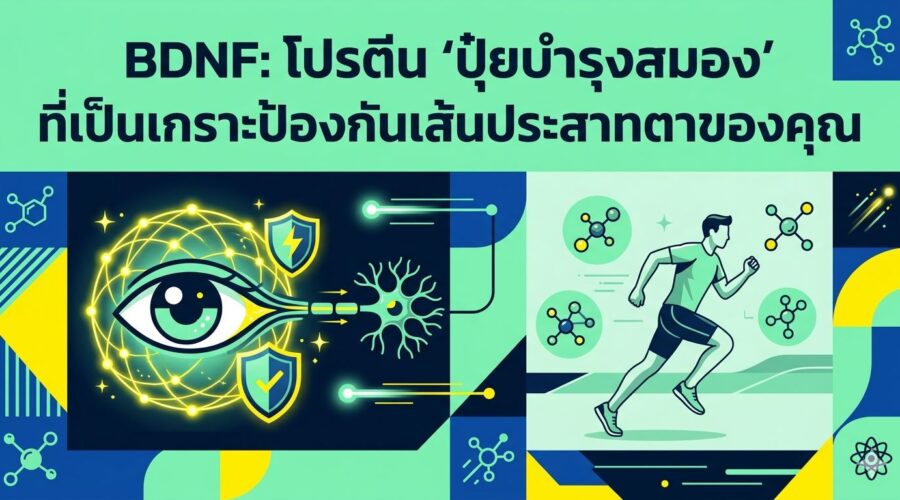 BDNF: โปรตีน ‘ปุ๋ยบำรุงสมอง’ ที่เป็นเกราะป้องกันเส้นประสาทตาของคุณ